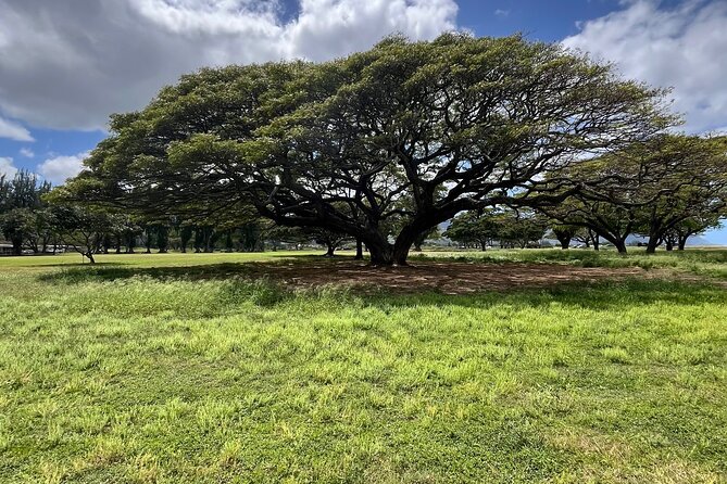 Guided E-Bike Tour in North Shore - Stop-by-stop: Haleiwa Town Center in 15 minutes