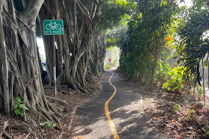 Guided E-Bike Tour in North Shore - Stop-by-stop: Haleiwa Boat Harbor and local fishing culture