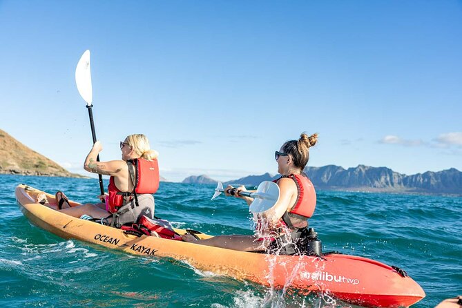 Guided Kayak Tour to Kailua’s Twin Islands - Quick highlights you should know before you go