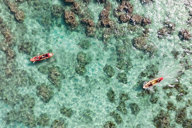 Guided Kayak Tour to Kailua’s Twin Islands - Meet Up at Active Oahu Tours, Then Into the Water