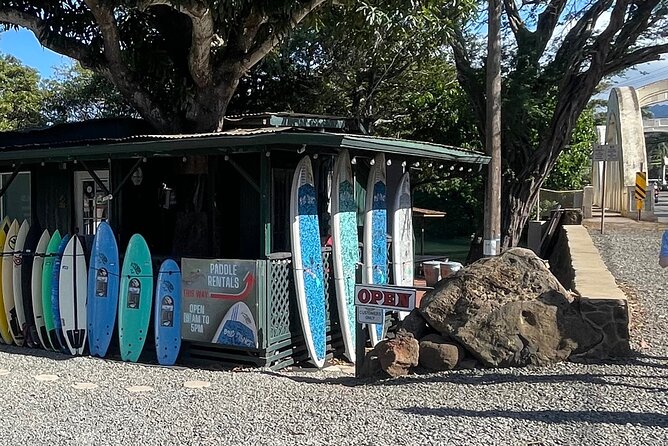 Haleiwa River Paddle Board Rental with Blue Planet Adventure Co. - Your Paddle Plan: Upstream, Downstream, or Haleiwa Bay