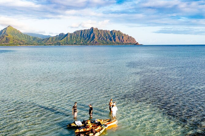 Half-Day Kaneohe Bay Sandbar Self-Guided Kayaking Experience - Price and Value: Why $96 Can Make Sense Here