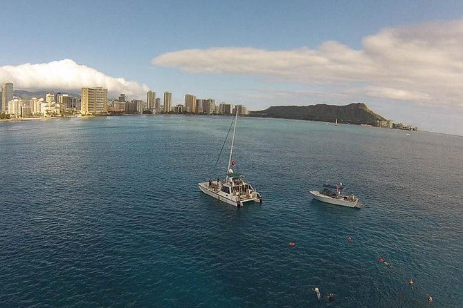 Half Day Oahu Combo Adventure: Bike, Sail and Snorkel - Snorkeling for turtles and reef fish: what kind of spot you’re getting