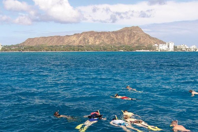 Half Day Oahu Combo Adventure: Bike, Sail and Snorkel - The 5-mile downhill ride: views, turns, and how to enjoy the speed