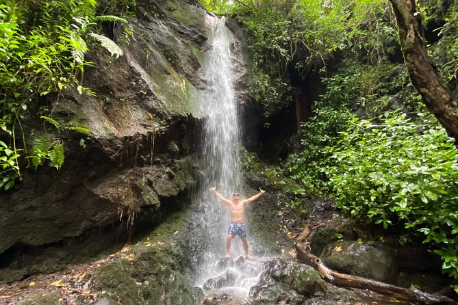Half-Day Waterfall Tour - Hike, Scenic, Food and Photo - Key highlights to know before you go