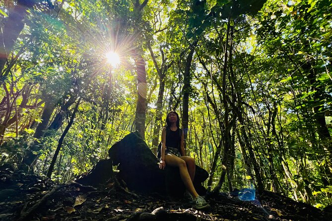 Half-Day Waterfall Tour - Hike, Scenic, Food and Photo - Finding a waterfall with no name in Honolulu