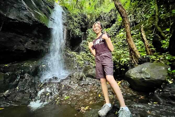 Half-Day Waterfall Tour - Hike, Scenic, Food and Photo - Tantalus Lookout: the payoff view after the hike