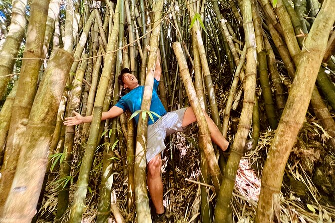 Half-Day Waterfall Tour - Hike, Scenic, Food and Photo - Pickup and the 8:00 am rhythm for a 4.5-hour day