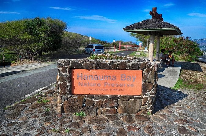 Hanauma Bay Experience with Admission Ticket and Equipment - Inside the bay: coral, fish, and honu in a protected setting