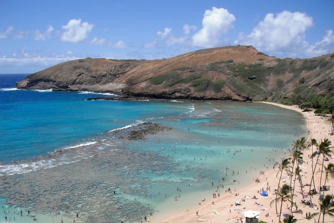 Hanauma Bay Guided Snorkel Tour (with guaranteed entrance time) - Your one-hour snorkeling plan, and what to expect in real life
