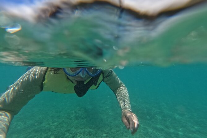 Hanauma Bay Guided Snorkeling Tour with Transportation - Quick reasons this Hanauma Bay snorkeling tour works