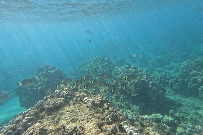 Hanauma Bay Guided Snorkeling Tour with Transportation - Getting geared up: vest, lock box, beach mat, and downloadable photos