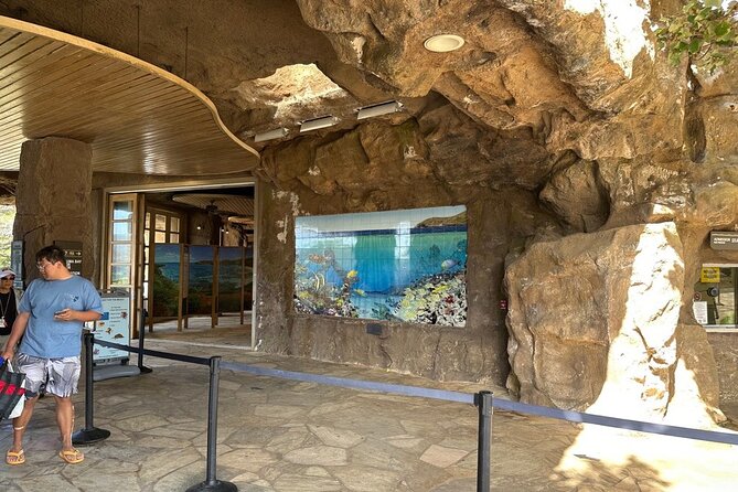 Hanauma Bay Snorkel Lesson - The snorkel lesson: what you learn and how it pays off