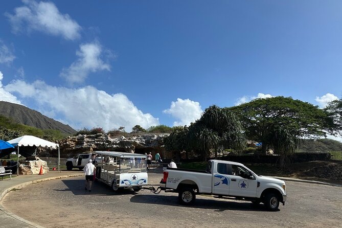 Hanauma Bay Snorkel Lesson - Group size and why it matters in a snorkel lesson
