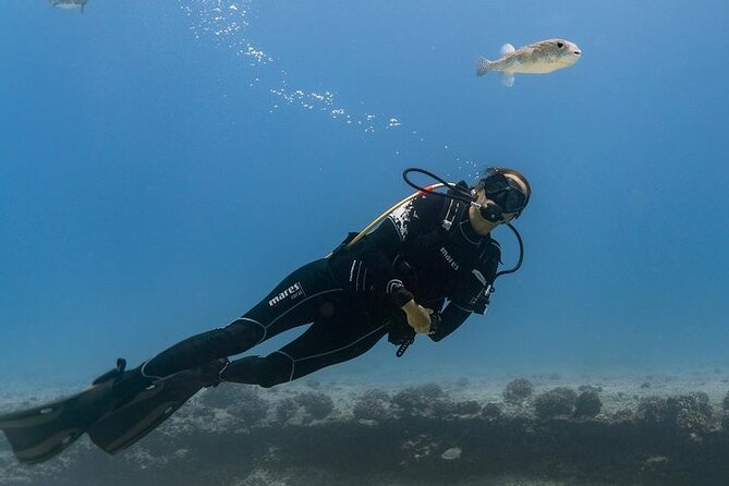 Hawaii DISCOVER Beginner + Certified 2 Tank Shallow Scuba Diving - Key Highlights You Should Actually Care About