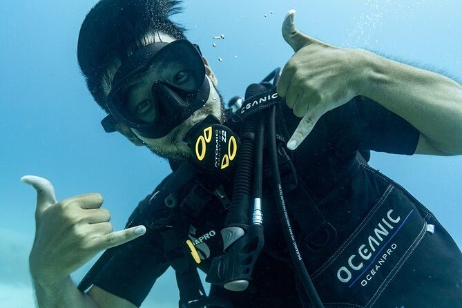 Hawaii DISCOVER Beginner + Certified 2 Tank Shallow Scuba Diving - The Gear and Coaching Setup That Makes First-Time Work Possible