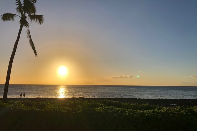 Hawaii's Best Private Build-Your-Tour Charter Service - Byodo-In Temple, farms, and Haleiwa: the 30-minute story stops