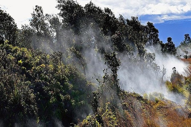 Hawaii Volcanoes National Park Experience from Oahu - Punaluʻu Bake Shop lunch, plus a real taste of local flavors