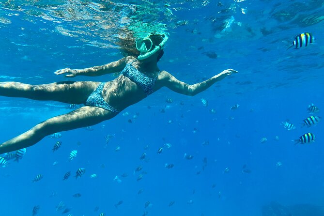 Hawaiian Culture & Snorkel Adventure with Photo/Videos - Meeting at Kapolei and Getting Your Bearings