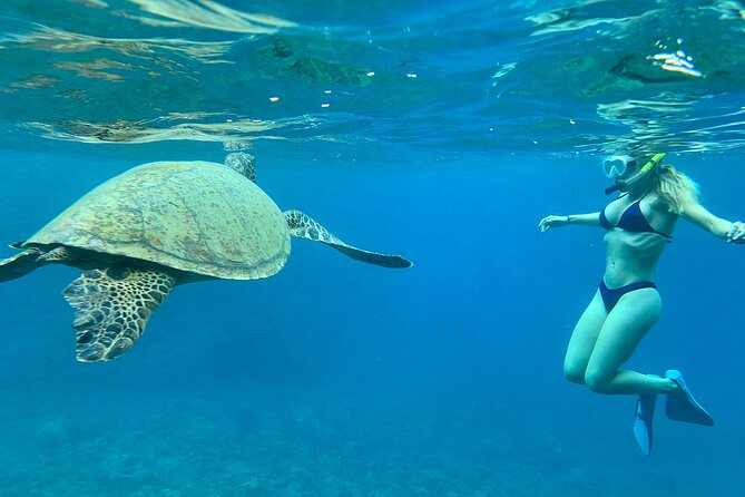 Hawaiian Culture & Snorkel Adventure with Photo/Videos - Your Snorkeling Setup: Masks, Fins, and Safety Before the Swim