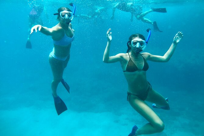 Hawaiian Culture & Snorkel Adventure with Photo/Videos - What You Might See Offshore: Turtles, Dolphins, Sting Rays, and Fish