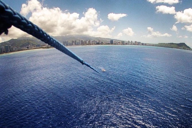Hawaiian Parasail Since 1977 - Wildlife From the Water: Dolphins, Turtles, Flying Fish, and Winter Whales