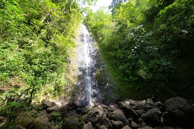 Hawaiian Waterfall Hike - Key Highlights at a Glance