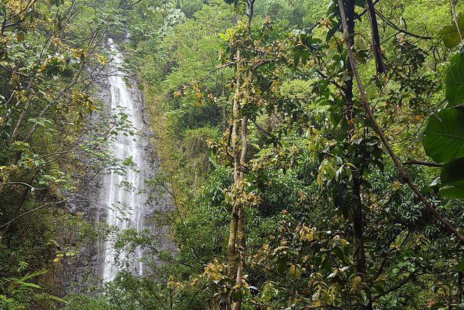 Hawaiian Waterfall Hike - The 2 Mile Round Trip: What the Hike Feels Like in Real Life