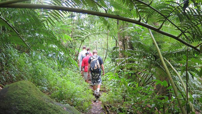 Hawaiian Waterfall Hike - Stop 1 at Bike Hawaii: Why the Setup Matters More Than You Think