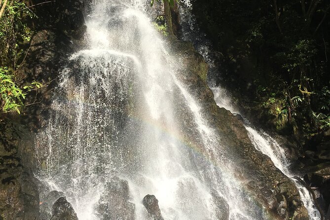Hidden Hawaii Tours - The guide experience: Morgan and Jonathan, and why it matters