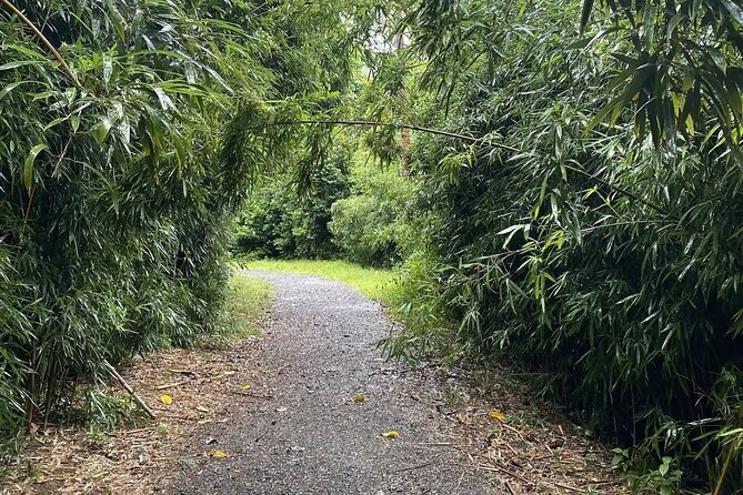 Hike to a Tropical Waterfall - pick up included - The Hike to the Waterfall: Hard, But Not Gut-Punch Hard