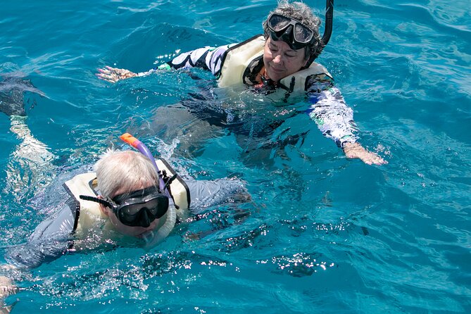 Hilton Hawaiian Village Turtle Snorkel with Optional Lunch - Lunch Options and the Full Bar: How to Plan Food and Drinks