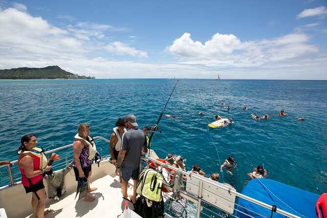Hilton Hawaiian Village Turtle Snorkel with Optional Lunch - Timing and Weather: Why Some Days Feel Better Than Others
