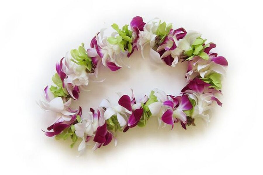 Honolulu Airport Custom Lei Greeting - Choose Your Lei - Price and value: is $40 per person a smart move?