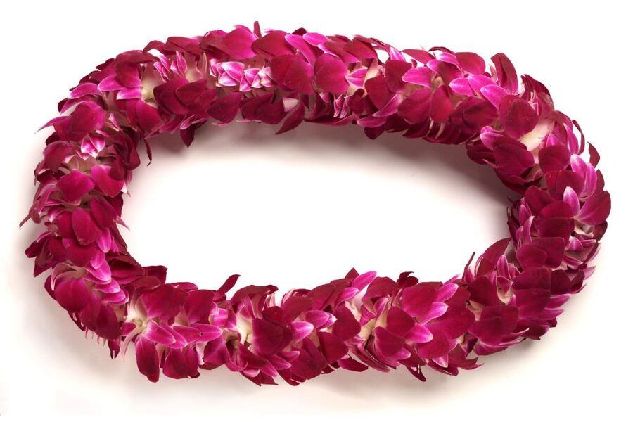 Honolulu Airport Custom Lei Greeting - Choose Your Lei - Who this Honolulu airport lei greeting suits best