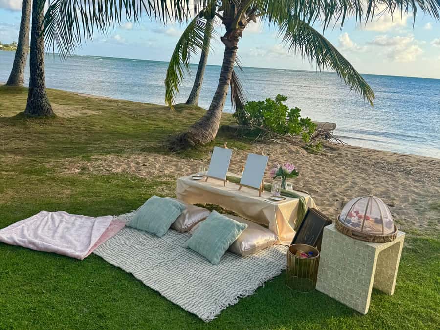 Honolulu: Beachside Luxury Picnic & Paint - Key highlights to notice before you book