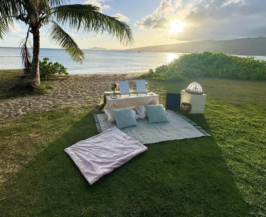Honolulu: Beachside Luxury Picnic & Paint - A Honolulu beach picnic plus a real art lesson