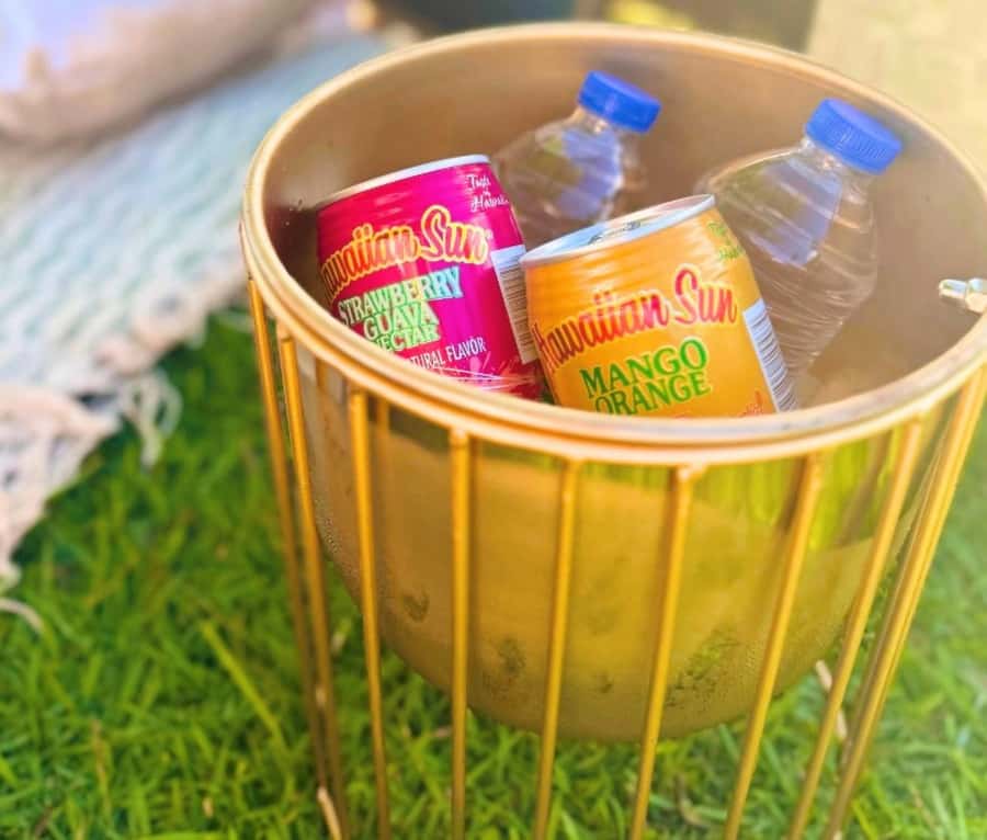 Honolulu: Beachside Luxury Picnic & Paint - What you’ll paint: blank canvas or a ready outline