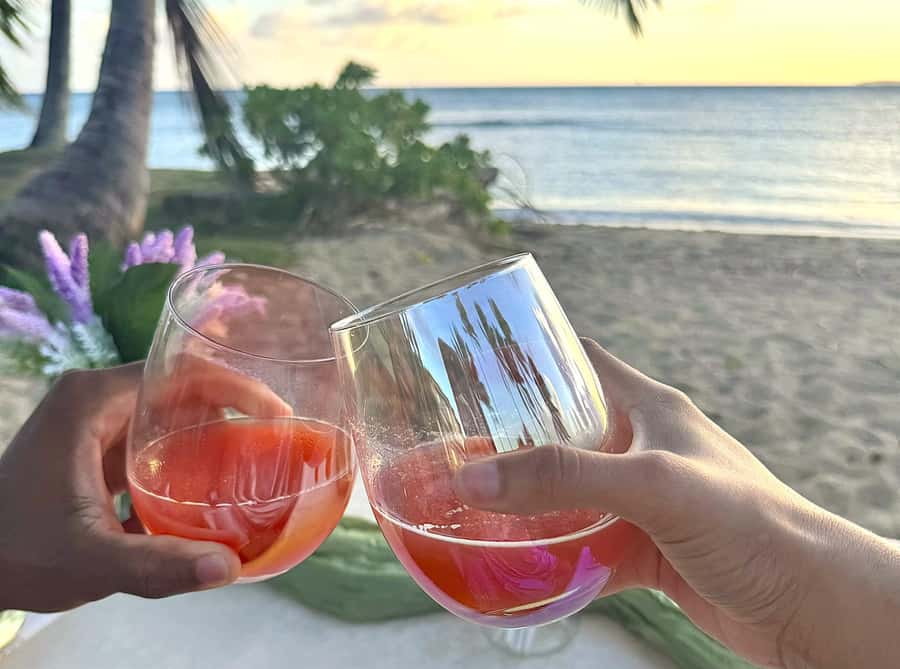 Honolulu: Beachside Luxury Picnic & Paint - The picnic: seasonal charcuterie, chilled drinks, and vegan option