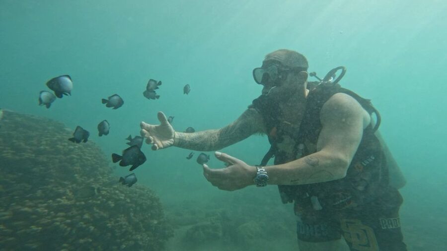 Honolulu: Beginner Scuba Diving Tour With Free Videos - The Underwater Highlight: Tropical Fish and Hawaii Marine Life in About 20 Minutes