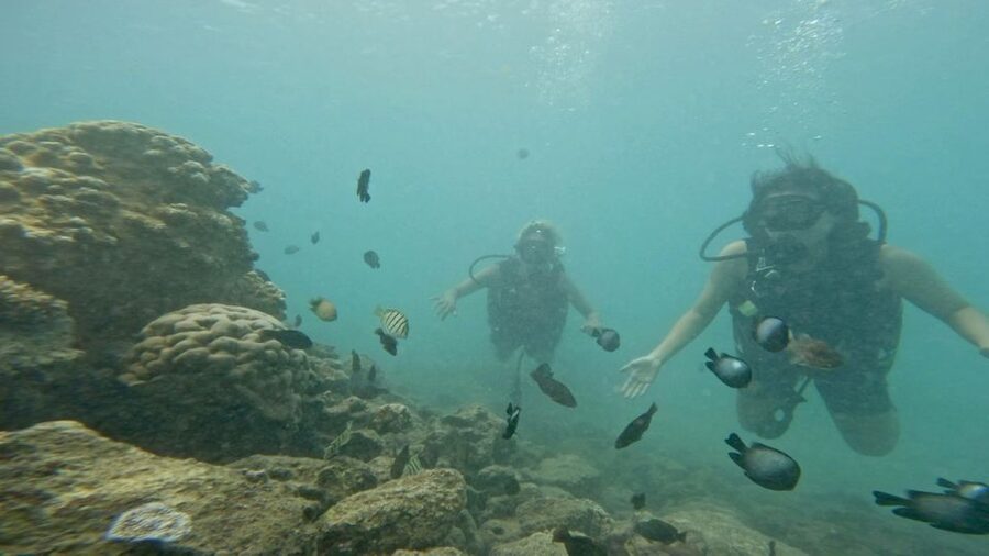 Honolulu: Beginner Scuba Diving Tour With Free Videos - Rain or Shine, But Plan for Real-World Conditions