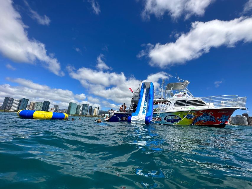 Honolulu: Deluxe Waikiki Snorkel and Wildlife Cruise - From Kewalo Basin to Diamond Head: the start of your Pacific adventure
