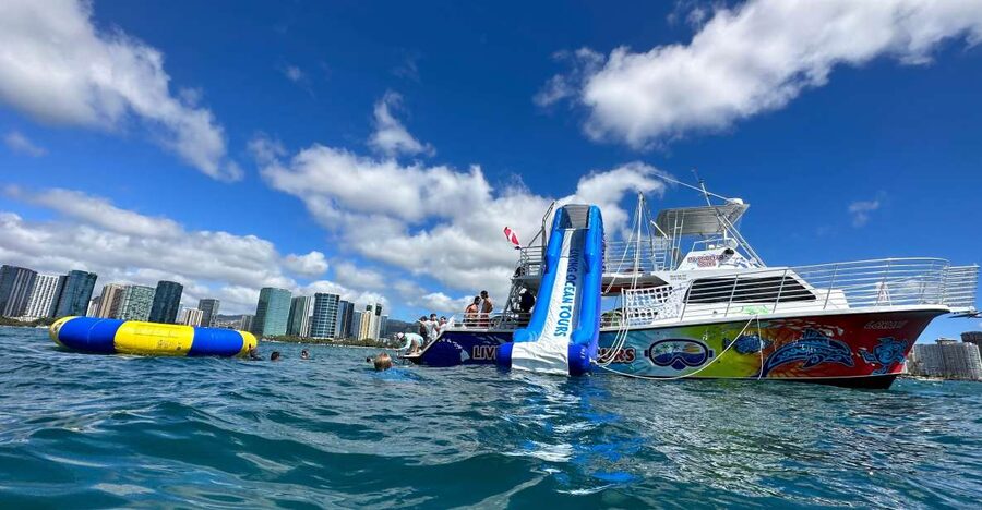 Honolulu: Deluxe Waikiki Snorkel and Wildlife Cruise - Who this tour suits best in Honolulu (and who should skip it)