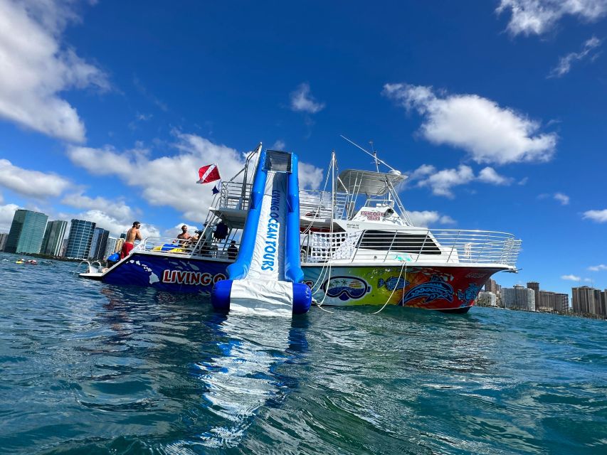 Honolulu: Deluxe Waikiki Snorkel and Wildlife Cruise - Diamond Head coastal cruising and wildlife spotting tips that actually help