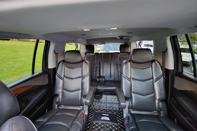 Honolulu Harbor Cruise Terminal Transfer by Luxury Vehicle - Price, group size, and why $105 can feel fair on a cruise day