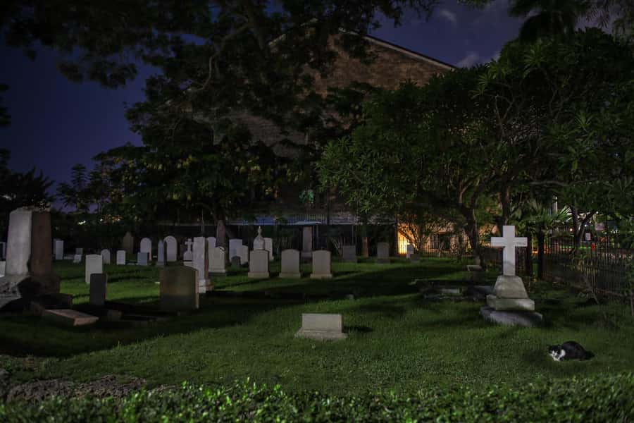 Honolulu Haunts: Ghosts and Spirits Walking Tour - Should you book Honolulu Haunts?