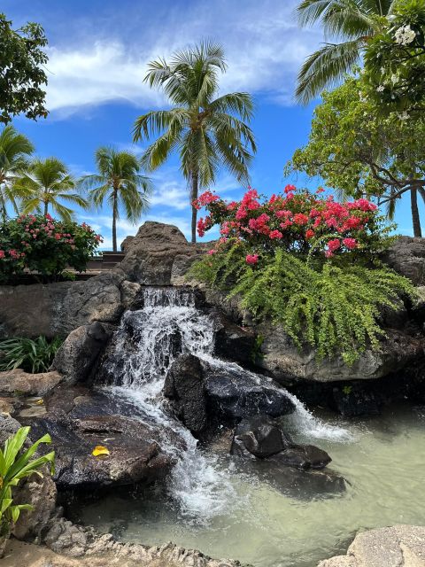 Honolulu: Highlights of Oahu Small Group Tour - Makapu’u Whale Watching (Nov to Feb) and the Viewpoints That Make It Count