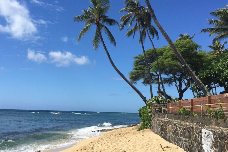 Honolulu: Highlights of Oahu Small Group Tour - Macadamia Nut Farm Fun, Chinamans Hat, and Kualoa Ranch Film-Famous Views