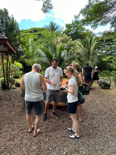Honolulu: Highlights of Oahu Small Group Tour - Polynesian Cultural Center, Laie Hawaii Temple, and the Smooth Turn Toward the North Shore
