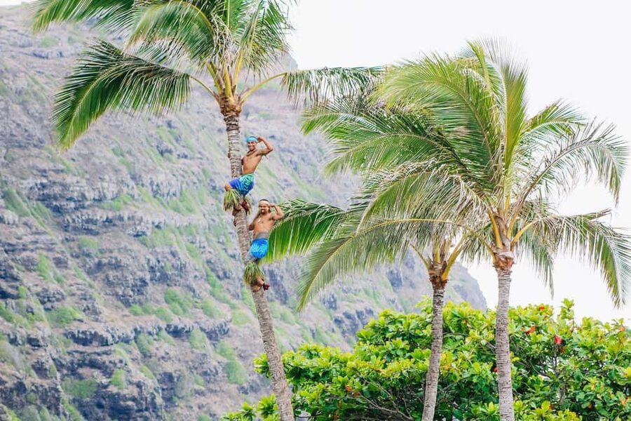 Honolulu: Ka Moana Luau Dinner and Show with Transportation - Key highlights to know before you go